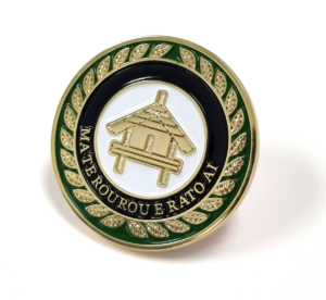 NZ Air Force Air Cdre Ballie Award Coin - 40mm, Double Gold Finish, Four Colour Enamel