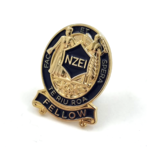 NZEI Pin - 25mm, 1 Colour Enamel, 3D Design, 1 Pin and Clutch Fitting, Gold Plated